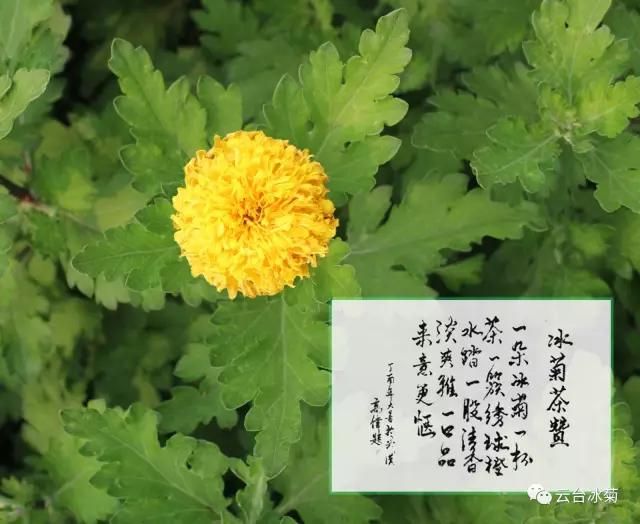 中 秋 禮 饌 l 那 年 花 開 月 正 圓